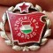 I.305 INSIGNA COMUNISTA UNGARIA SZOCIALISTA BRIGAD BRIGADIER 27mm argintie