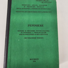 Silvicultura Pepiniere Cultura in pepiniera a principalelor specii forestiere