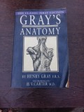 Gray s anatomy - Henry Gray F.R.S.