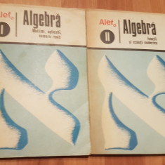 Algebra. Multimi, aplicatii, numere reale de C. Gautier (2 vol.) Alef 0