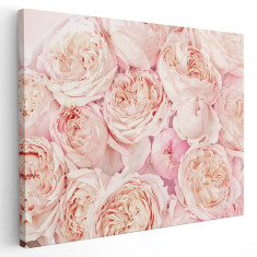 Tablou flori trandafiri roz detaliu Tablou canvas pe panza CU RAMA 20x30 cm