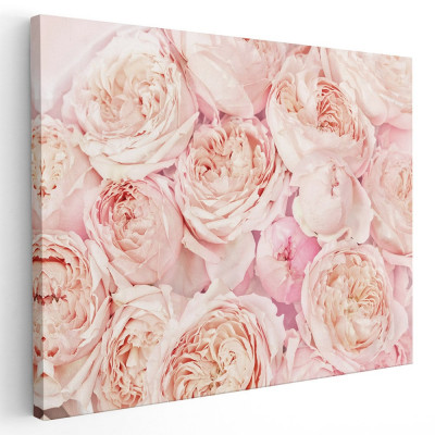 Tablou flori trandafiri roz detaliu Tablou canvas pe panza CU RAMA 80x120 cm foto