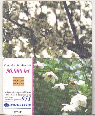 bnk card Cartela telefonica 2002 - Primavara 4 - RO-ROM-0144 foto