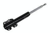 Amortizor Fata G. 60864 SA.065