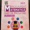 Matematică. Bacalaureat. Ghid de pregătire. Mate-info 2017 - Camelia Maria Magdaș, Dorin Andrica