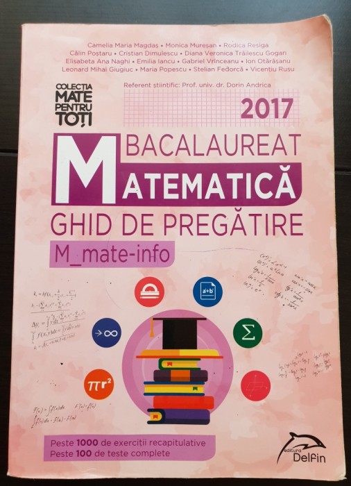 Matematică. Bacalaureat. Ghid de pregătire. Mate-info 2017 - Camelia Maria Magdaș, Dorin Andrica