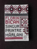 SINGUR PRINTRE MARLANI - FLORIN BICAN