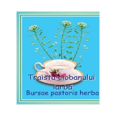 TRAISTA CIOBANULUI 50GR