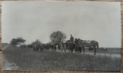 Militari romani efectuand un transport cu cai si carute// fotografie foto