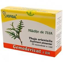 Gemoderivat Mladite Tuia Hofigal 30mdz Cod: 2388 foto