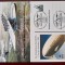1990-DDR CP dubla nec. 60 ani Dornier-LZ 127 Zeppelin-st.FRIEDRICHSHAFEN