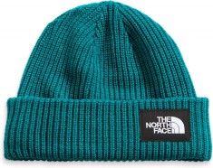THE NORTH FACE Beanie unisex pentru cap (Albastru verde) foto