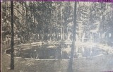 Carte Postala, Ferma din Fagaras, Lacul cu pastravi de la Fantana Craiesei, perioada interbelica