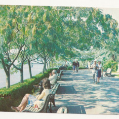 CP4-Carte Postala- RUSIA - Sochi, seaside park ,circulata 1986