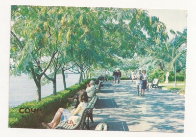 CP4-Carte Postala- RUSIA - Sochi, seaside park ,circulata 1986 foto