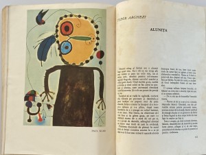 Iordan Chimet Cele Douasprezece Luni Ale Visului Okazii Ro