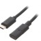 Cablu USB C la USB C 0.3m