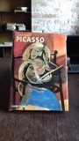ESSENTIAL PICASSO - LAURA PAYNE