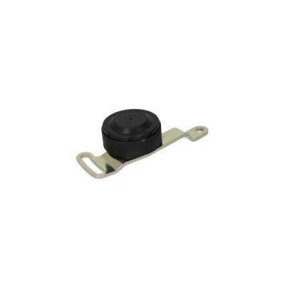 Intinzator curea SMART ROADSTER cupe 452 DAYCO APV2243 foto