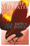 Call Down the Hawk | Maggie Stiefvater, Scholastic