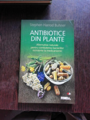 ANTIBIOTICE DIN PLANTE - STEPHEN HARROD BUHNER foto