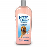 Fresh&#039;n Clean Crema Descalcit, 533 ml