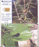 bnk card Cartela telefonica 2005 - Libelula - RO-ROM-0281