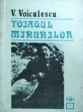 Vasile Voiculescu - Toiagul Minunilor - Editura Jurnalul Literar, 1991, Folio - Carte Aventura, Literatura Romana