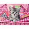 Puzzle Pisicuta, 100 Piese, Ravensburger