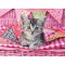 Puzzle Pisicuta, 100 Piese