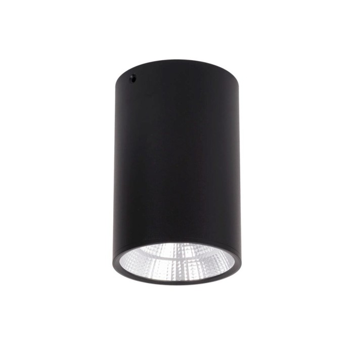Spot Bart LED 6500K IP20, negru, Erste