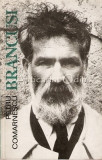 Cumpara ieftin Brancusi. Mit Si Metamorfoza In Sculptura Contemporana - Petru Comarnescu