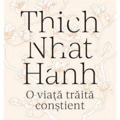 Thich Nhat Hanh - Paperback brosat - Bernard Baudouin, Céline Chadelat - Curtea Veche