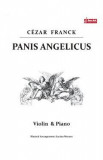 Panis Angelicus - Cezar Franck - Vioara si pian