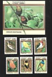 benin pasari mnh