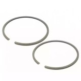 Segment 41mm x 1.5 mm AIP