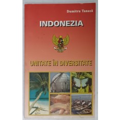 INDONEZIA , UNITATE IN DIVERSITATE de DUMITRU TANASA , 2001