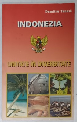 INDONEZIA , UNITATE IN DIVERSITATE de DUMITRU TANASA , 2001 foto