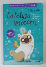 CATELUSA CARE ISI DOREA SA FIE UNICORN de BELLA SWIFT , 2021, PREZINTA URME DE UZURA