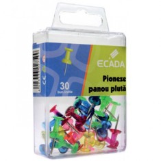 PIONEZE PANOU PLUTA ECADA foto