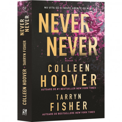 Never Never - Colleen Hoover, Tarryn Fisher foto