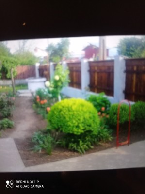 Casă de v&amp;acirc;nzare &amp;icirc;n Jilavele Ialomița foto