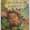 CINE TRAIESTE IN PADURE ? text - EMILY BONE , ilustratii MARIBEL LECHUGA , design ZOE WRAY , 2020
