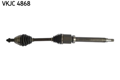 SKF VKJC 4868 Planetara foto