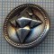 AX 1176 NASTURE METALIC MASONIC ? - CRUCEA SAGITARA -PENTRU COLECTIONARI