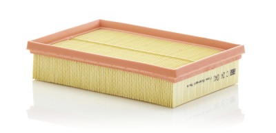 MANN-FILTER C 24 041 Filtru aer foto