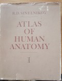 ATLAS OF HUMAN ANATOMY VOL. 1 - R. D. SINELNIKOV (LIMBA ENGLEZA)