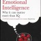 EMOTIONAL INTELLIGENCE. WHY IT CAN MATTER MORE THAN IQ-DANIEL GOLEMAN-272660