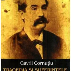 Tragedia si suferintele omului Mihai Eminescu. Ultimii sase ani din viata - Gavril Cornutiu