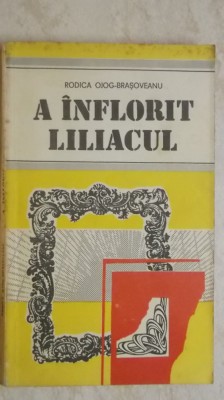 Rodica Ojog-Brasoveanu - A inflorit liliacul (vezi detalii pentru livrare in tara) foto